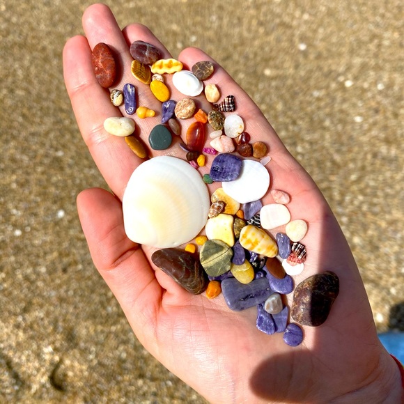 Meet your Posher, Apolonia - Picture 1 of 1